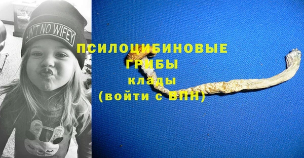 спиды Инта