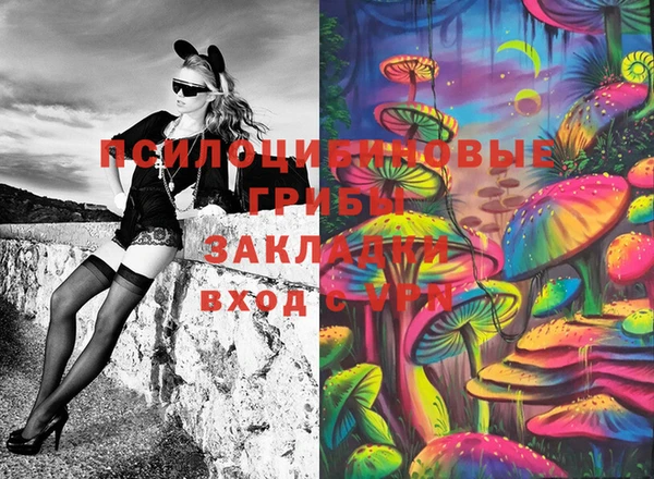 СК Касимов