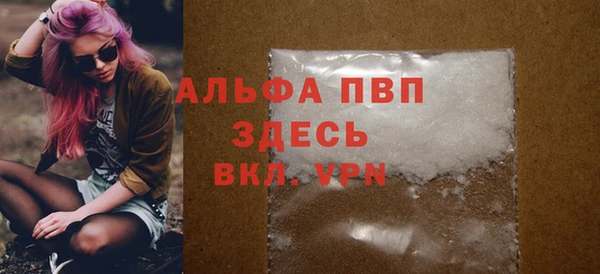 спиды Инта