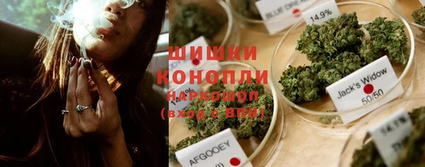 СК Касимов