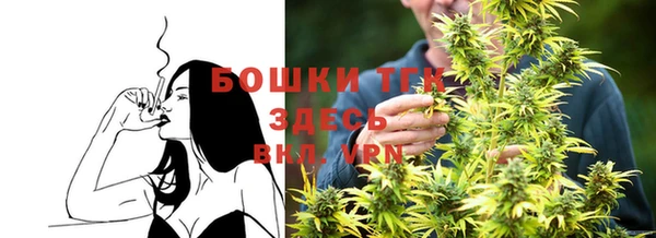2c-b Инсар