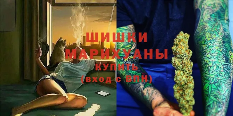 где купить наркотик  Пошехонье  Конопля гибрид 
